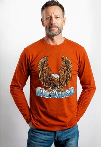 galeria CAMISETA MASCULINA NACIONAL UPSWEPT EAGLE 
