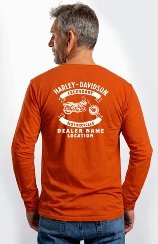 galeria CAMISETA MASCULINA NACIONAL UPSWEPT EAGLE 