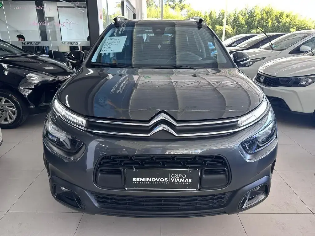 galeria C4 CACTUS