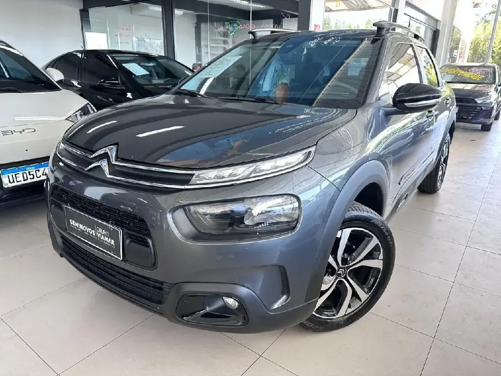 galeria C4 CACTUS