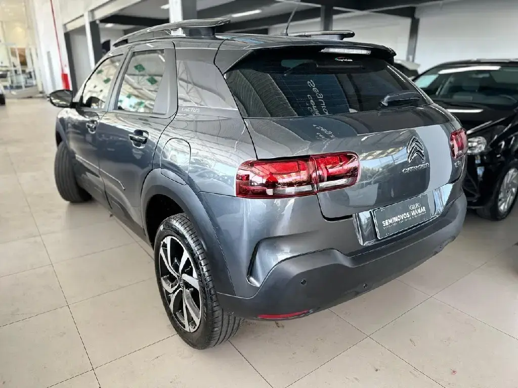galeria C4 CACTUS