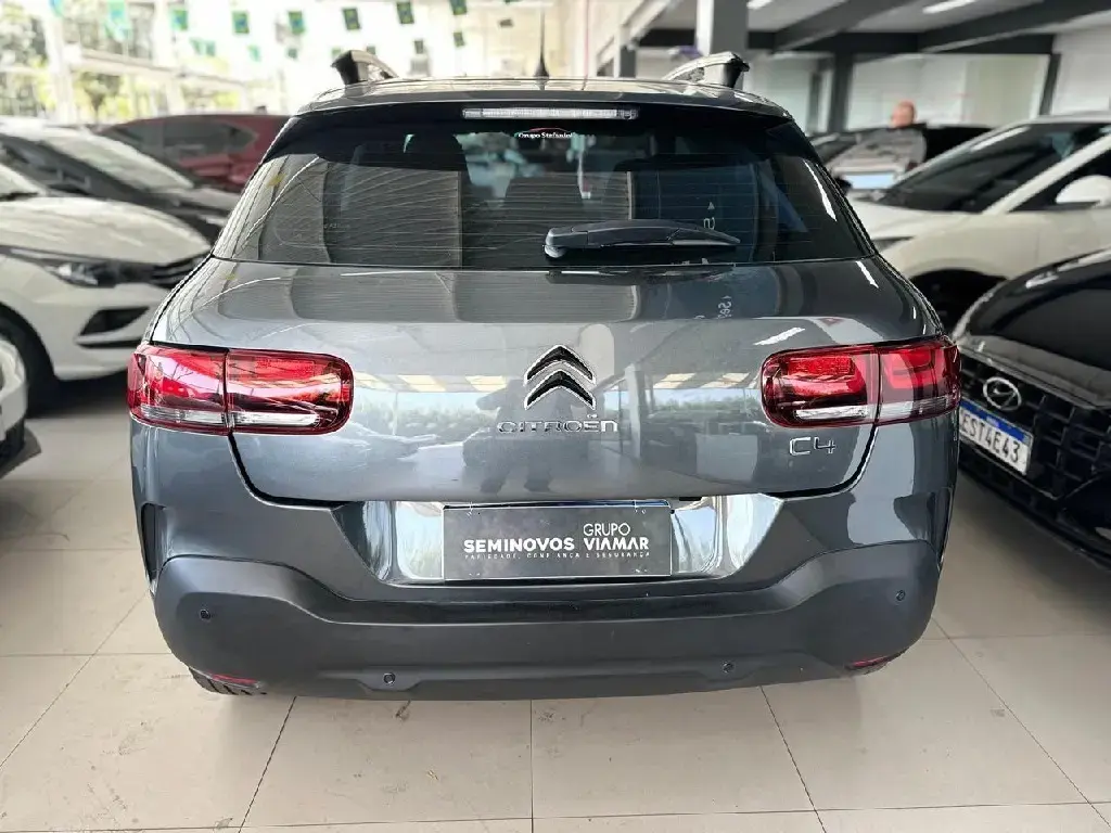 galeria C4 CACTUS