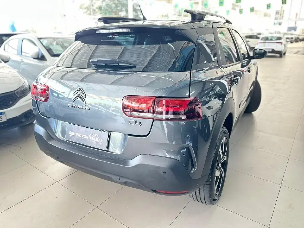 galeria C4 CACTUS