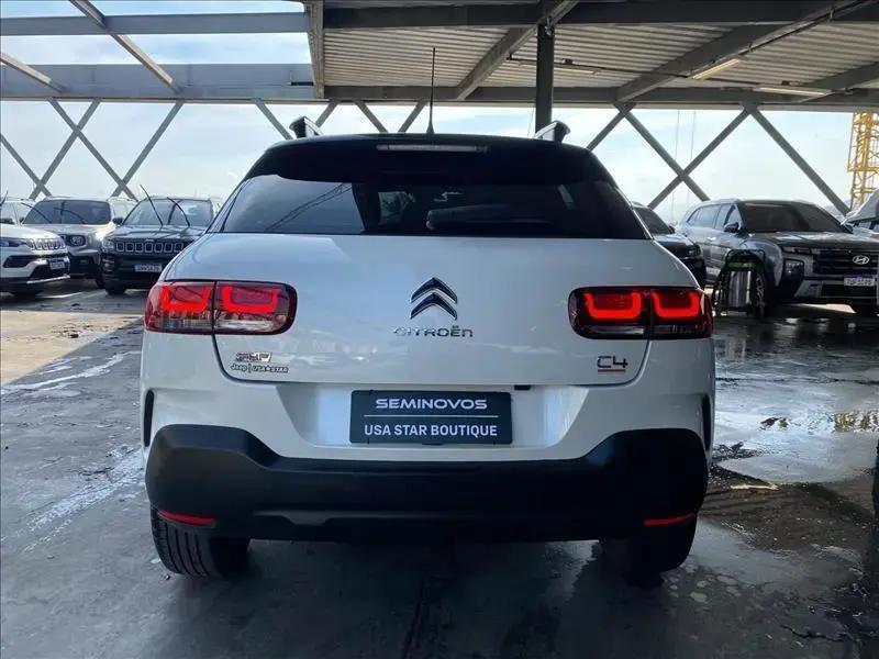 galeria C4 CACTUS