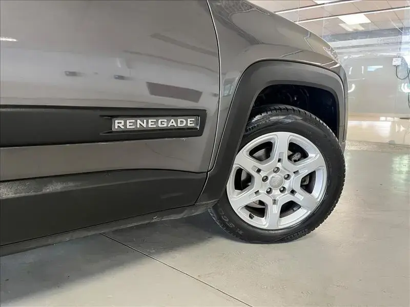 galeria RENEGADE