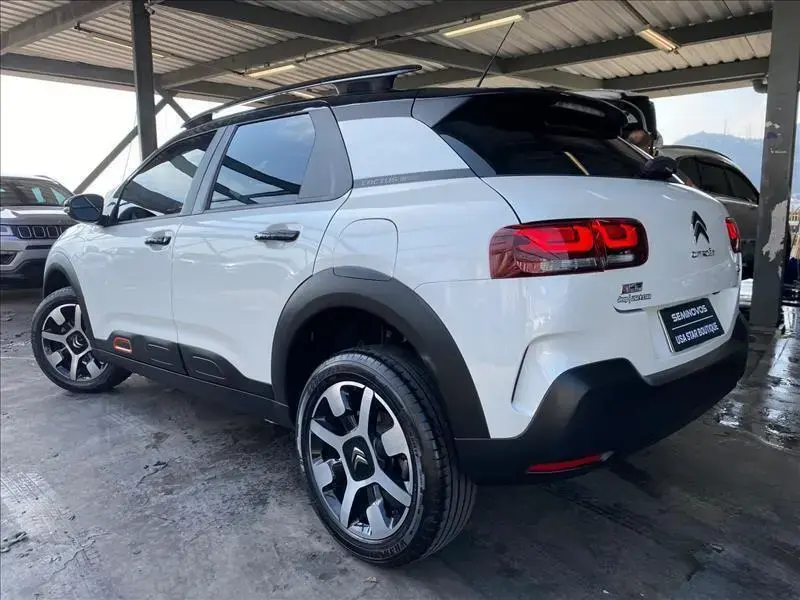 galeria C4 CACTUS