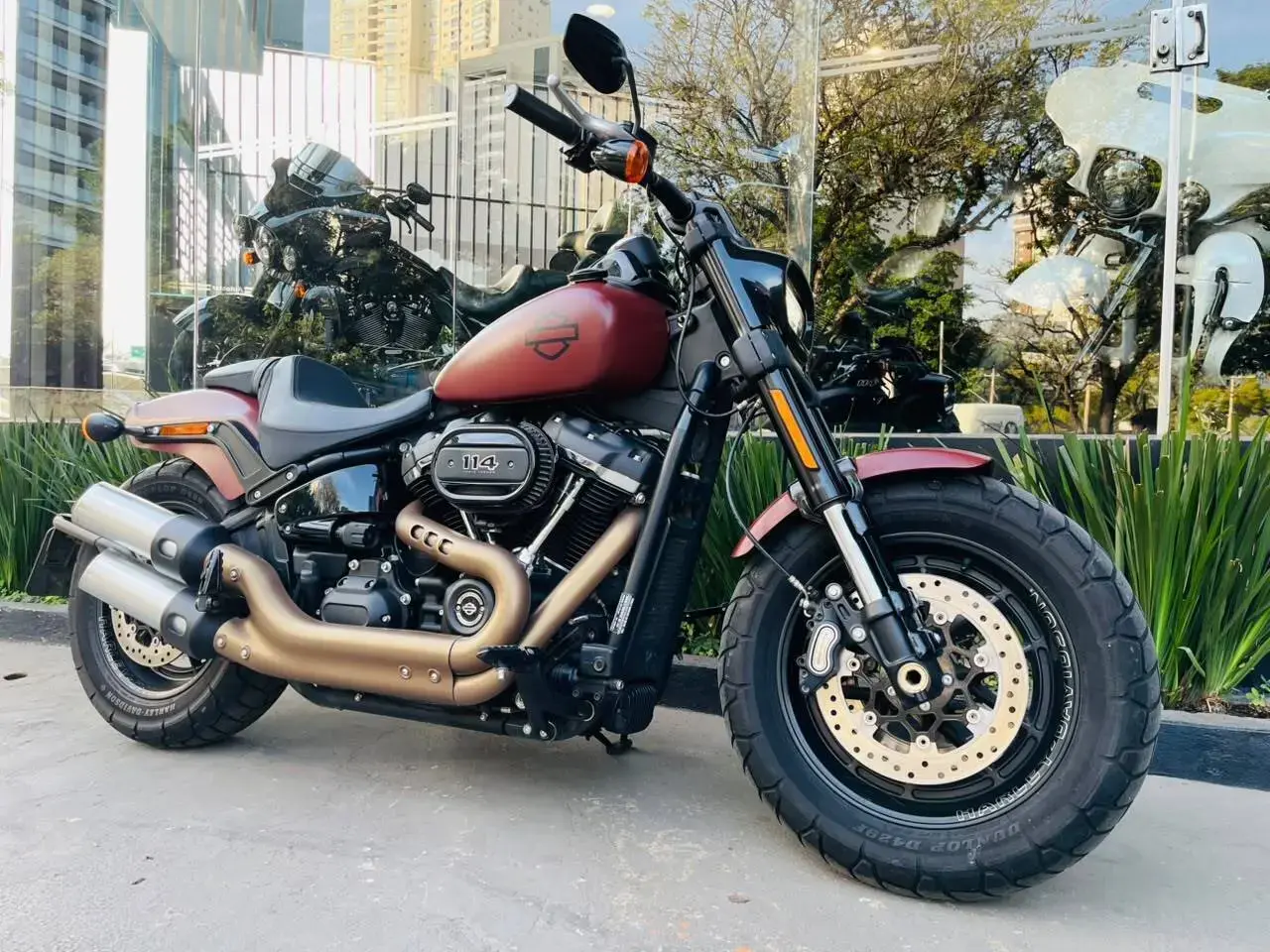 galeria Softail