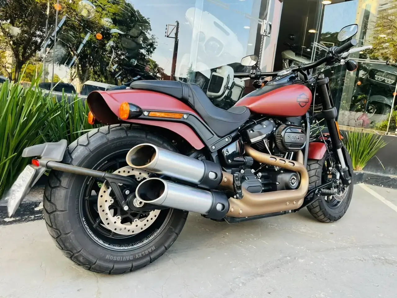 galeria Softail