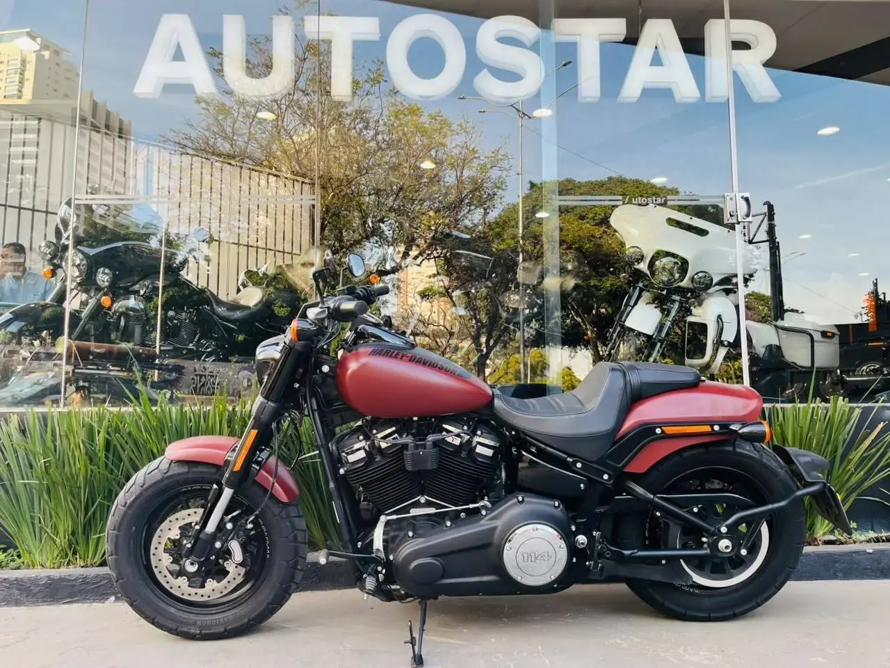 galeria Softail
