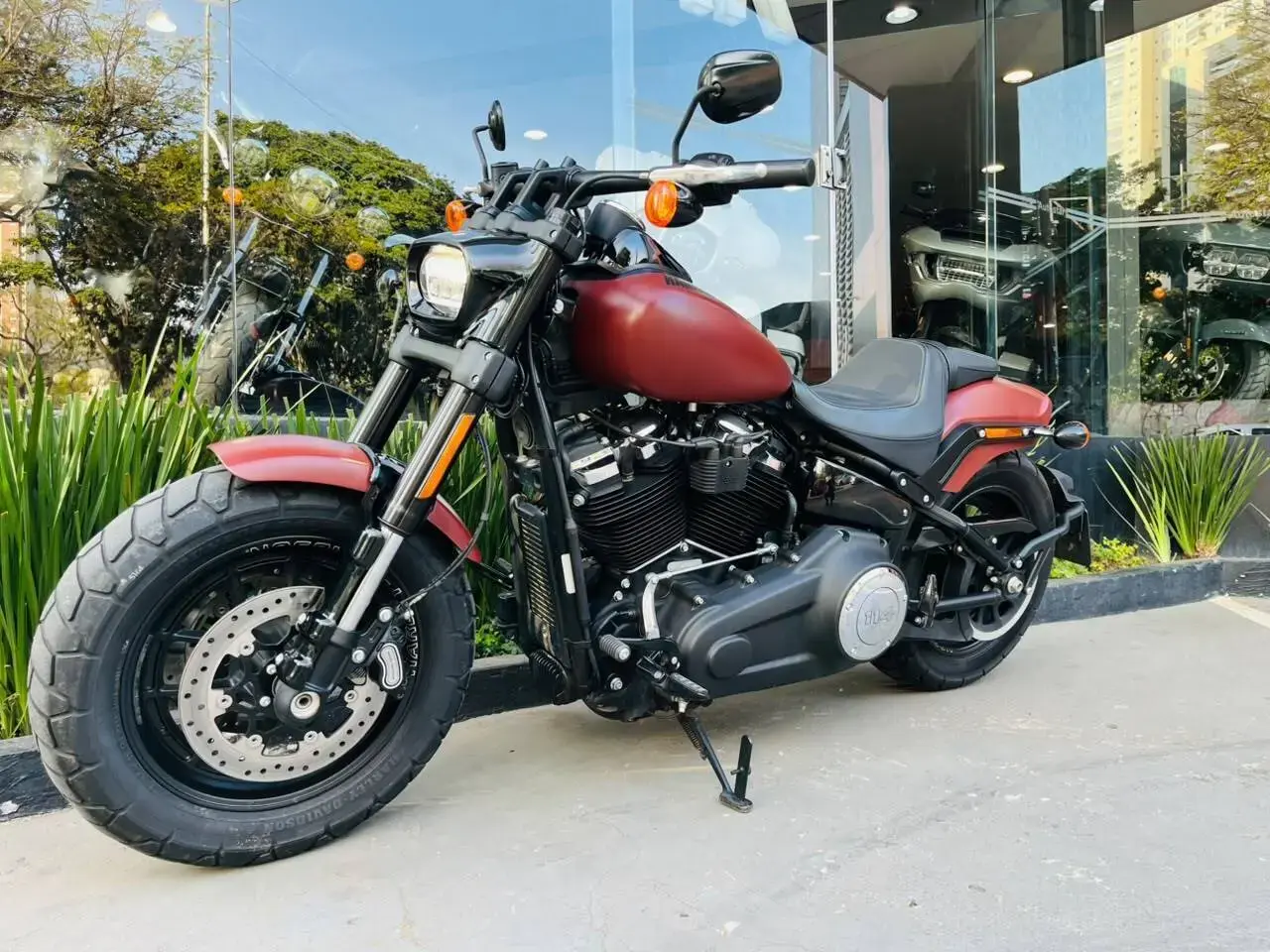galeria Softail