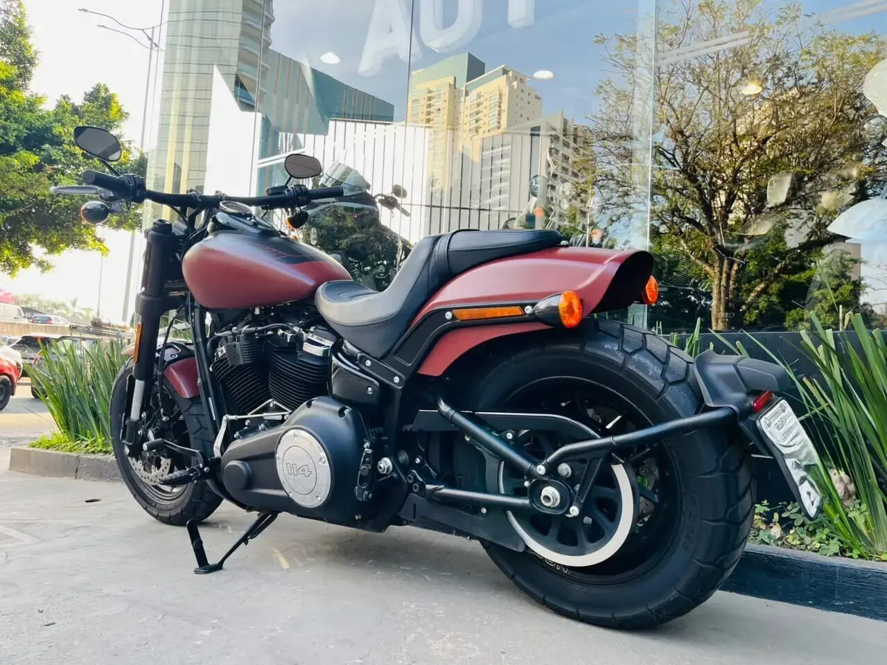 galeria Softail