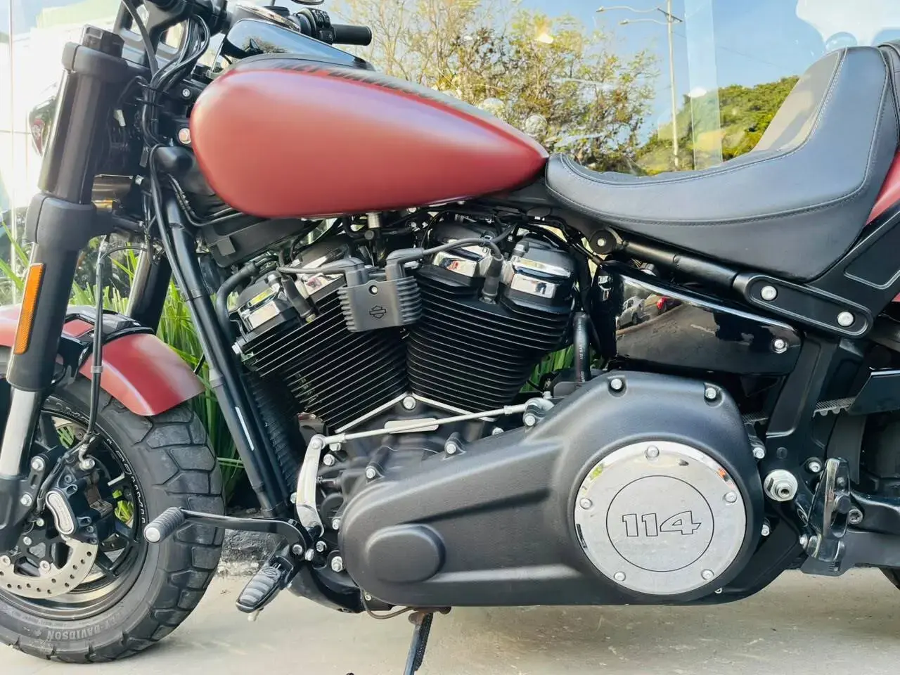 galeria Softail