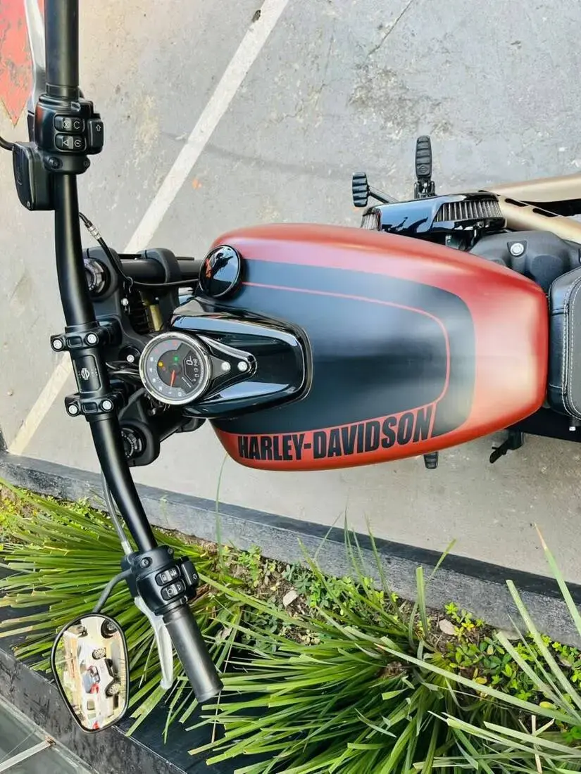 galeria Softail