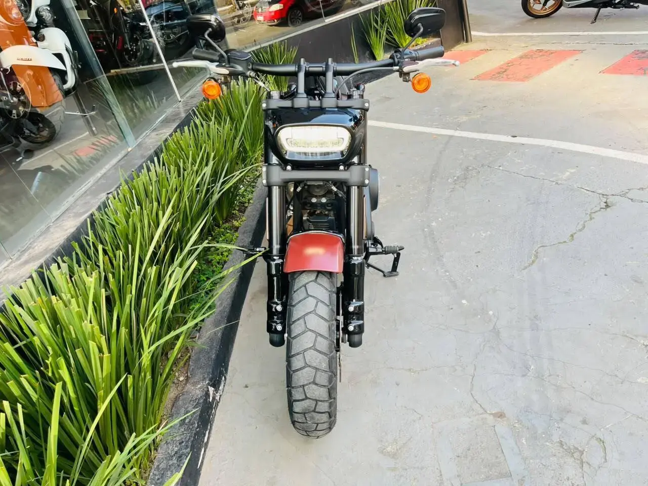 galeria Softail