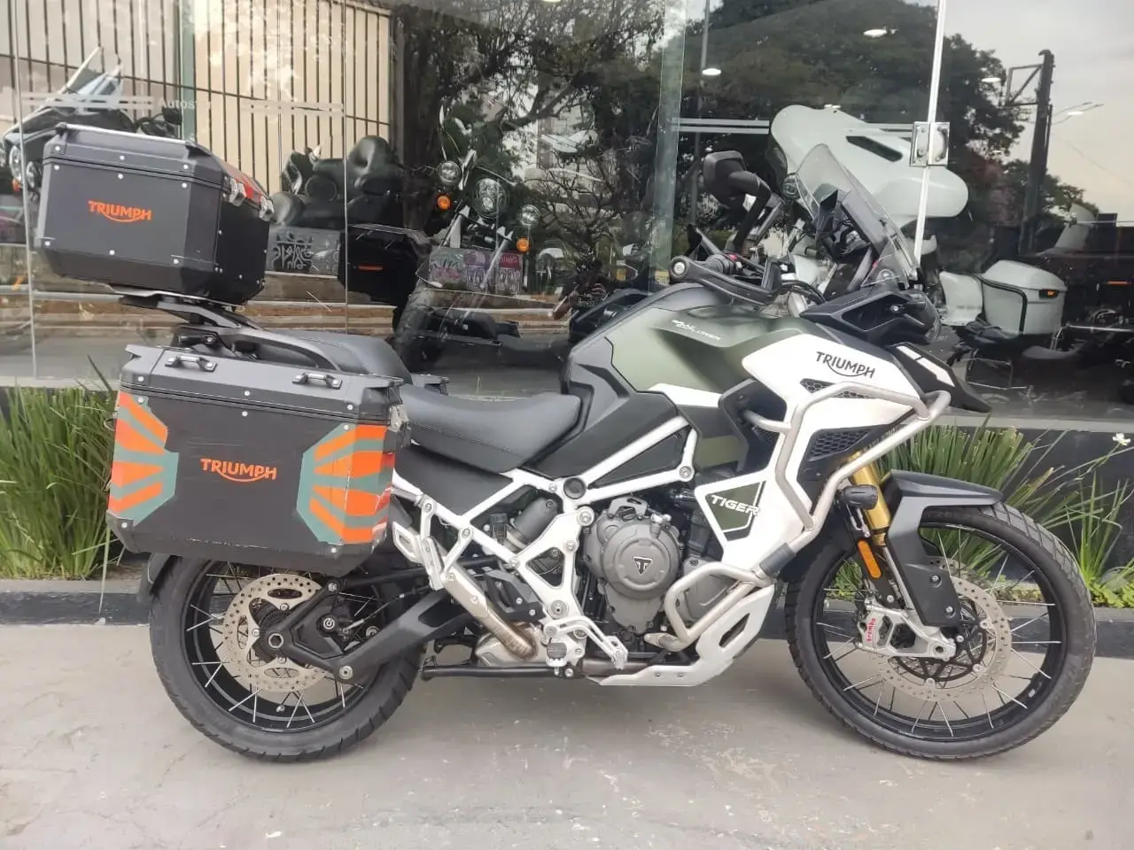 galeria Tiger 1200