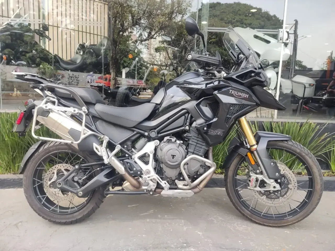 galeria Tiger 1200