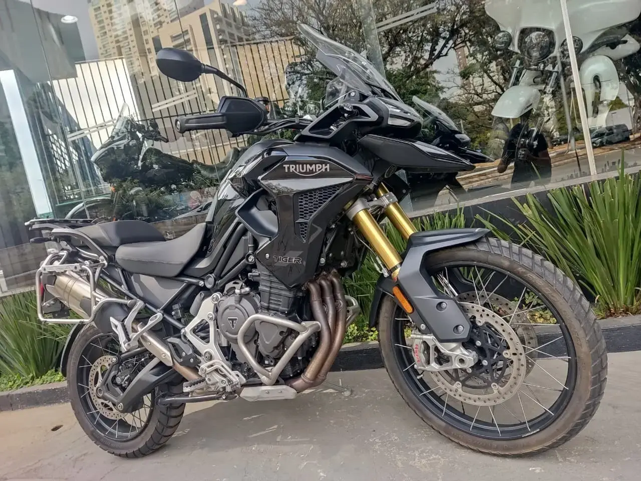 galeria Tiger 1200