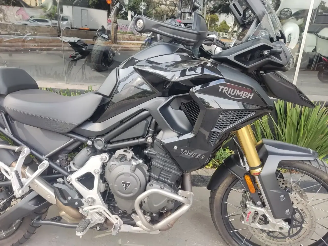 galeria Tiger 1200