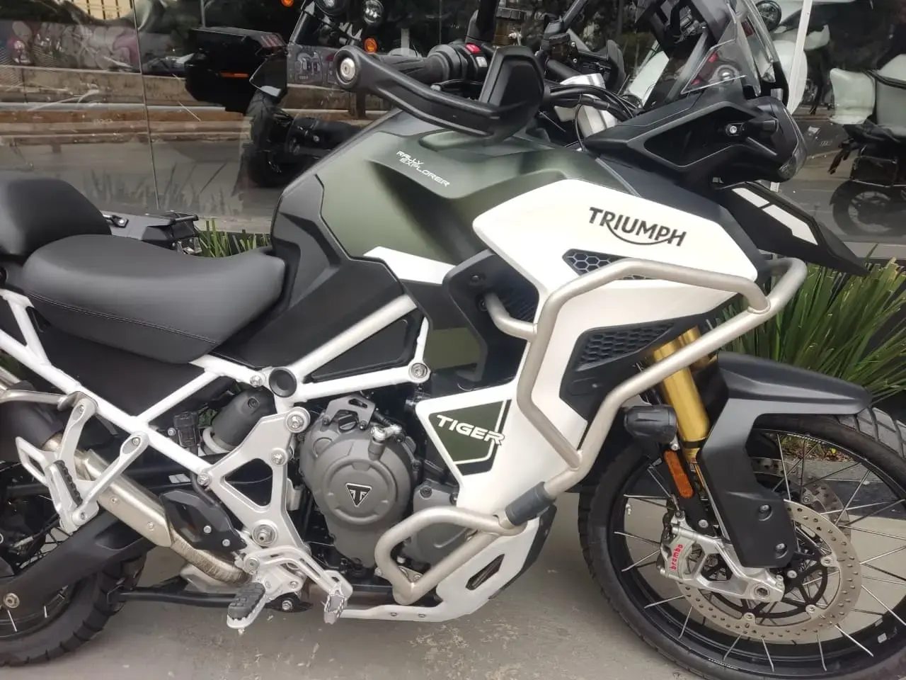 galeria Tiger 1200