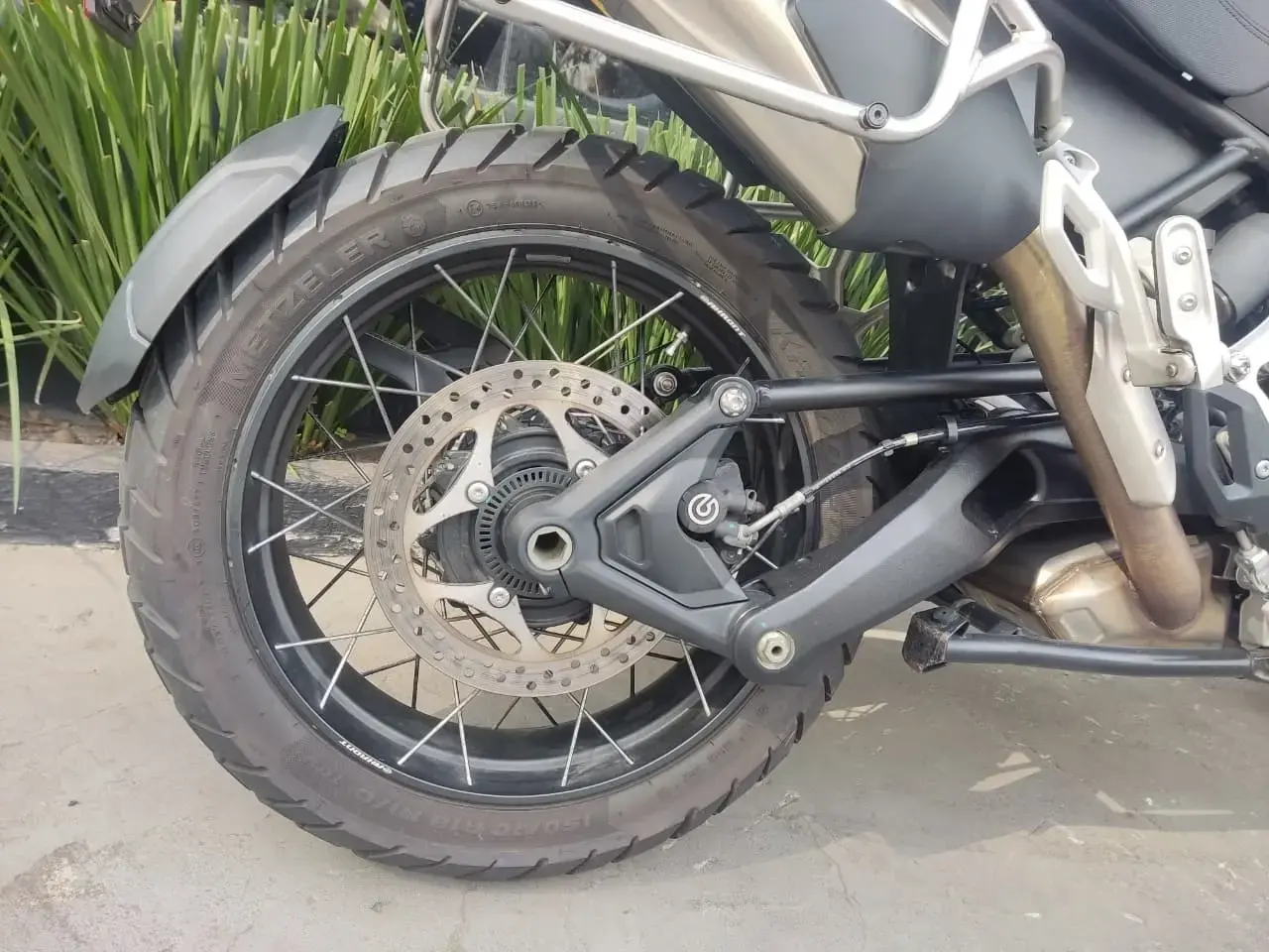 galeria Tiger 1200
