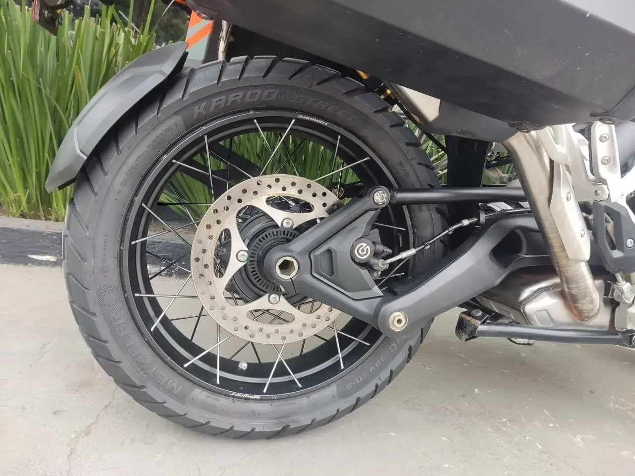 galeria Tiger 1200