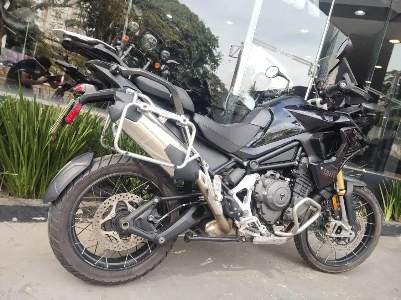 galeria Tiger 1200