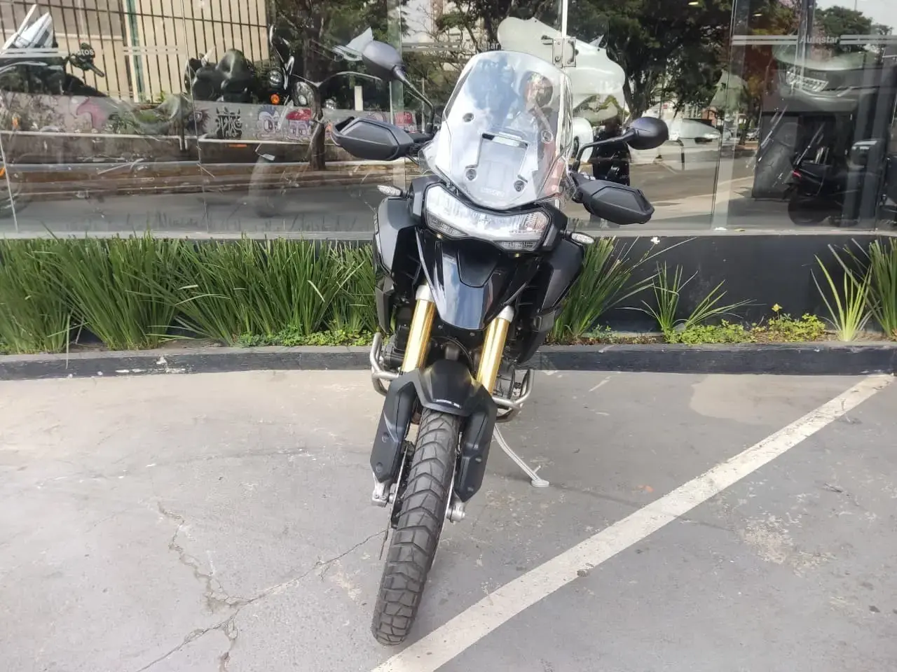 galeria Tiger 1200