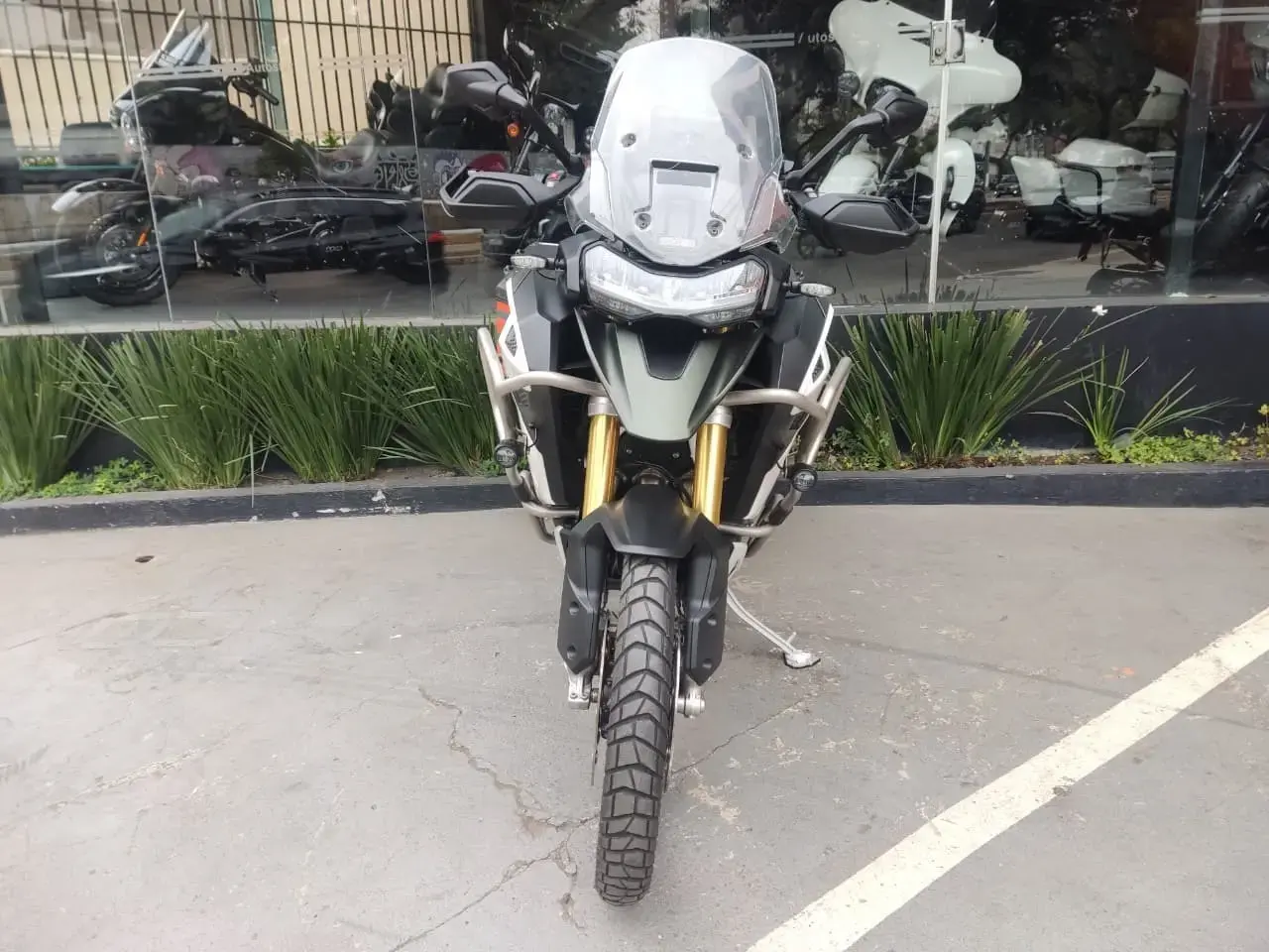 galeria Tiger 1200