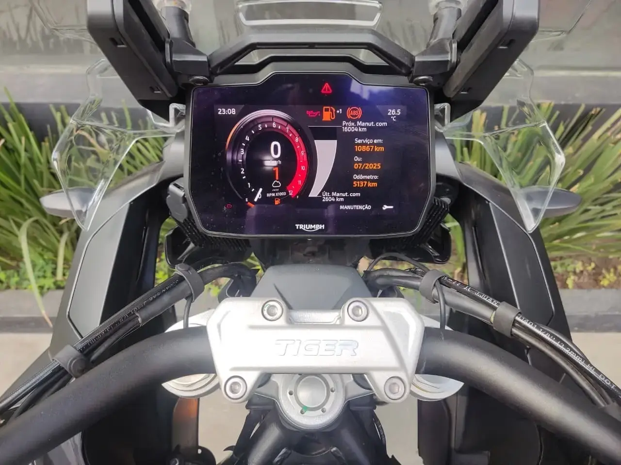 galeria Tiger 1200
