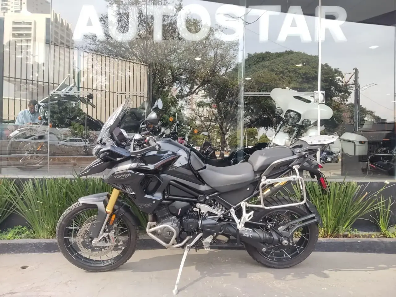 galeria Tiger 1200