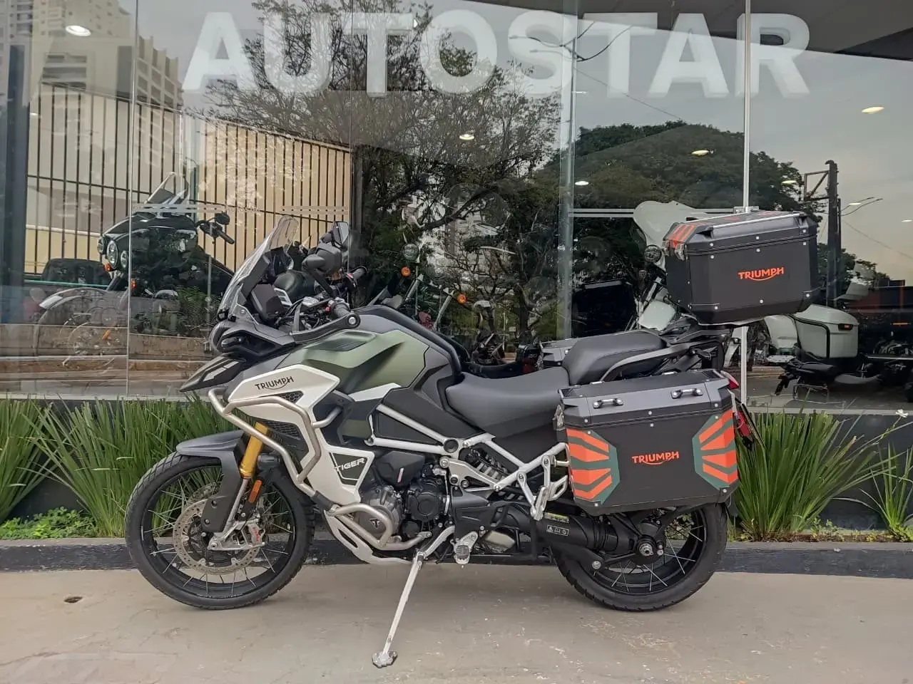 galeria Tiger 1200