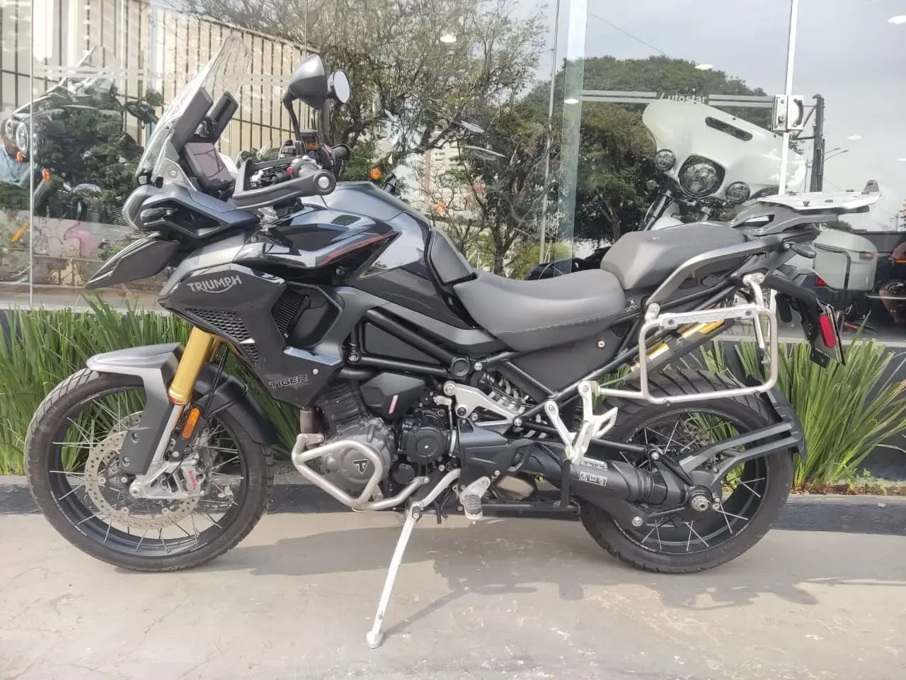 galeria Tiger 1200