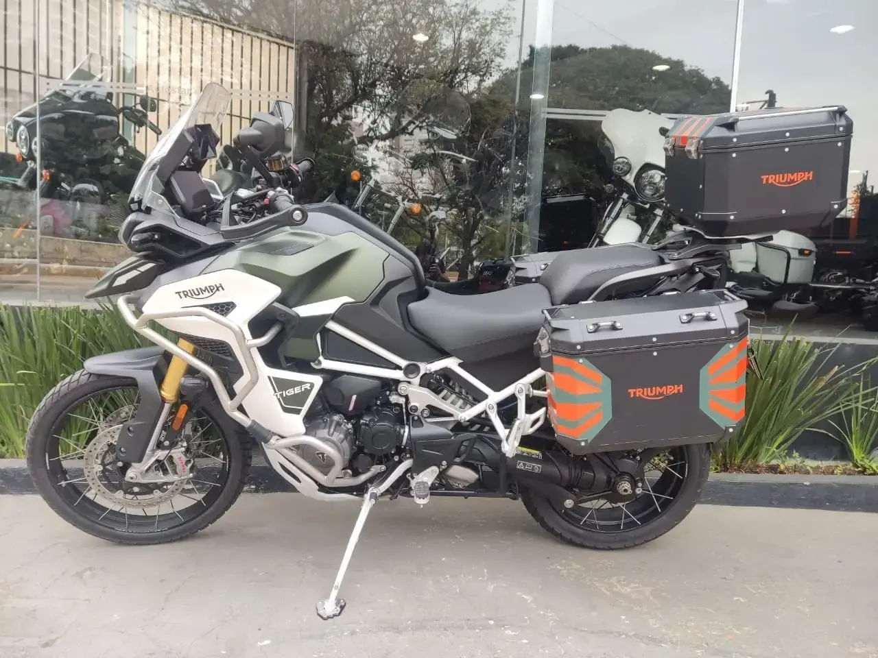 galeria Tiger 1200