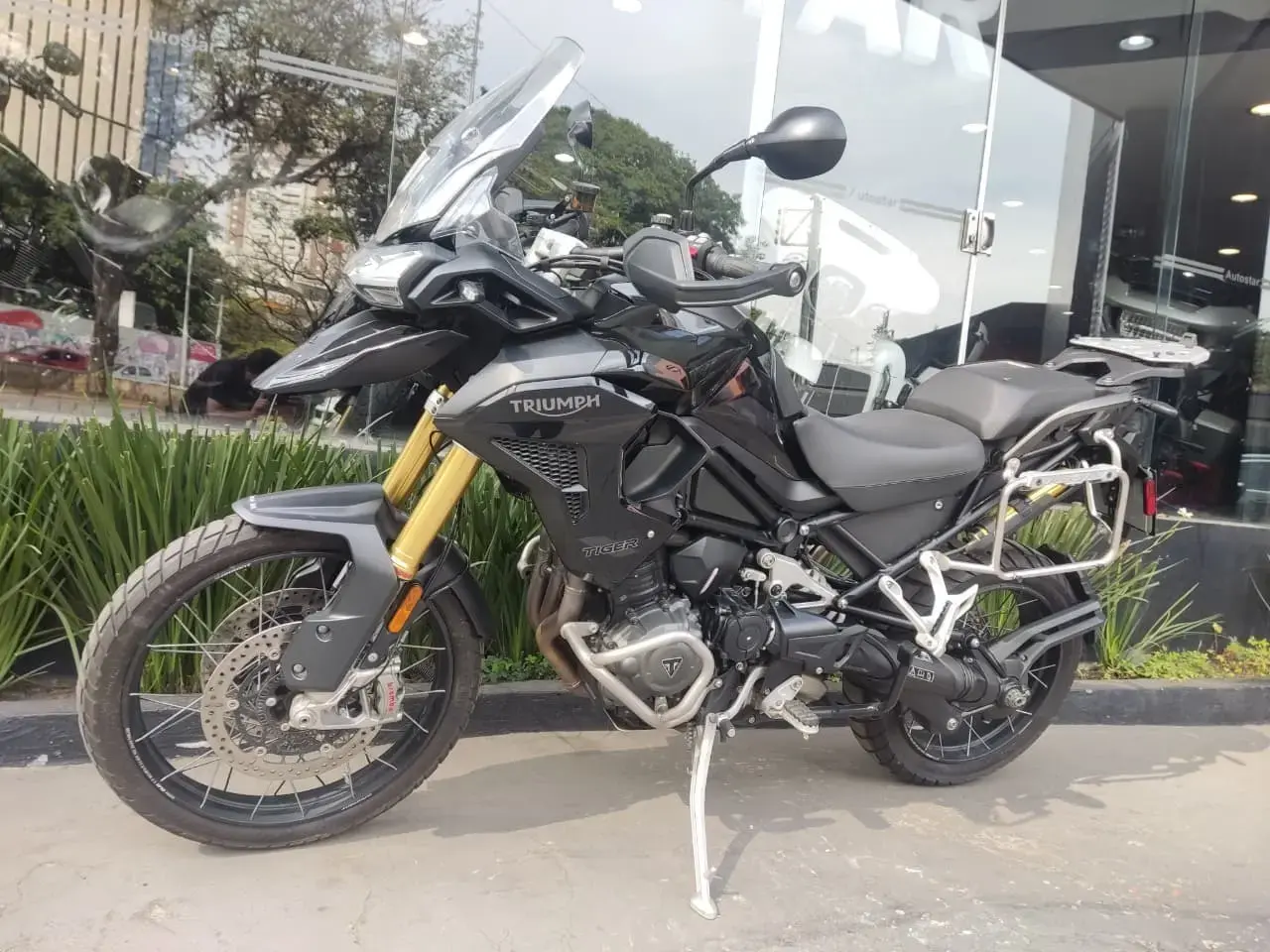 galeria Tiger 1200
