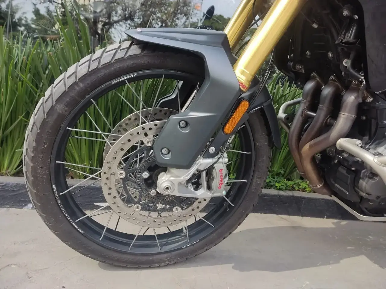 galeria Tiger 1200