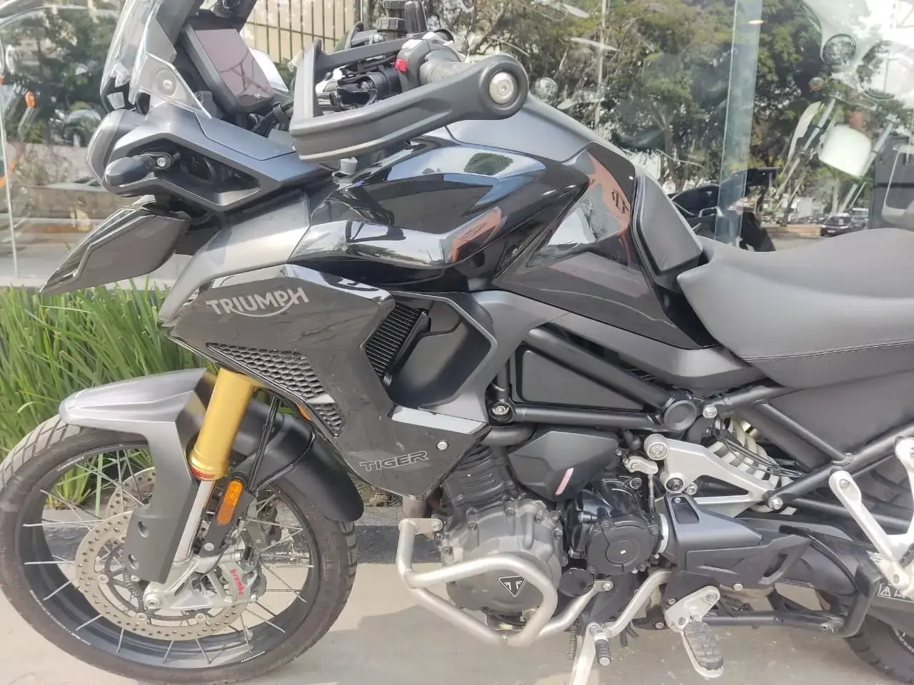 galeria Tiger 1200