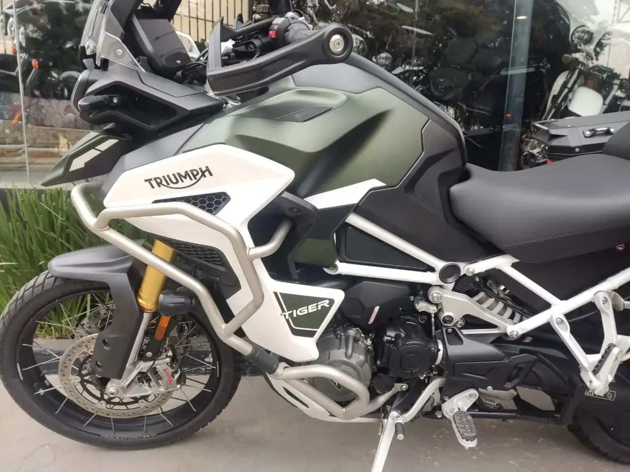 galeria Tiger 1200
