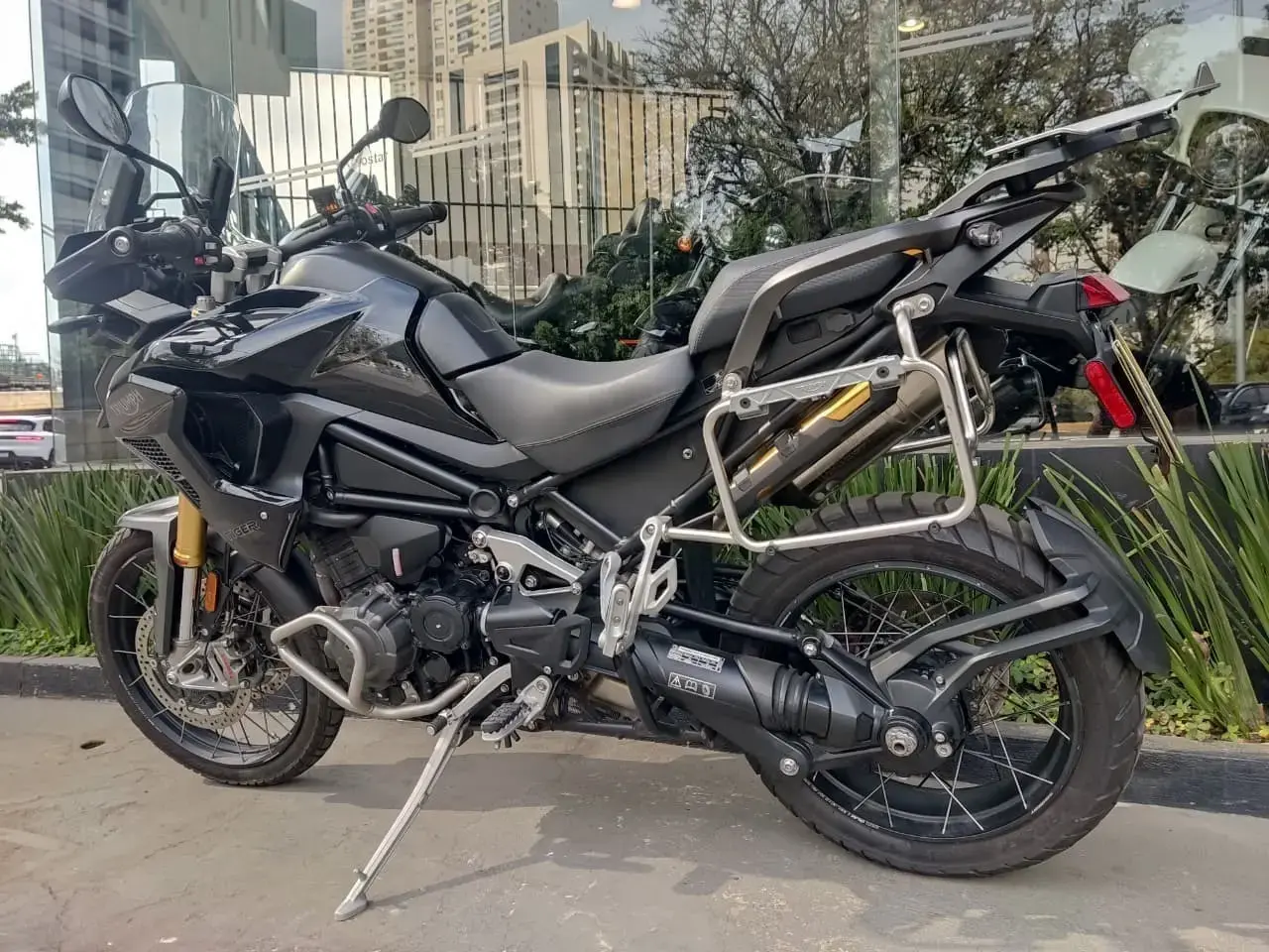 galeria Tiger 1200