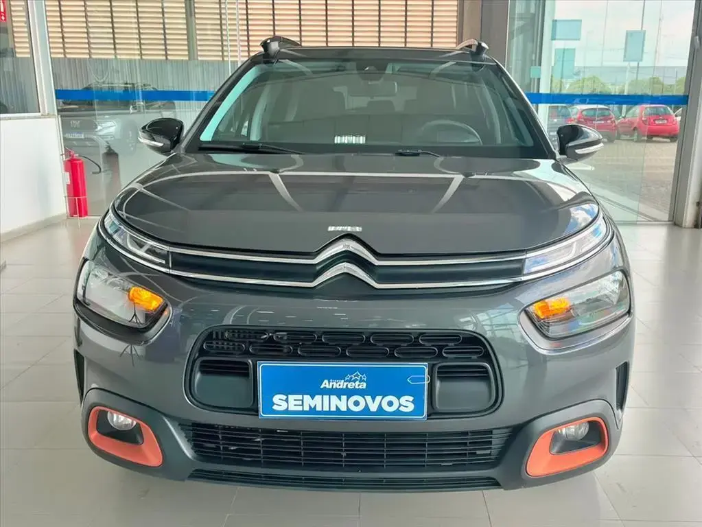 galeria C4 CACTUS