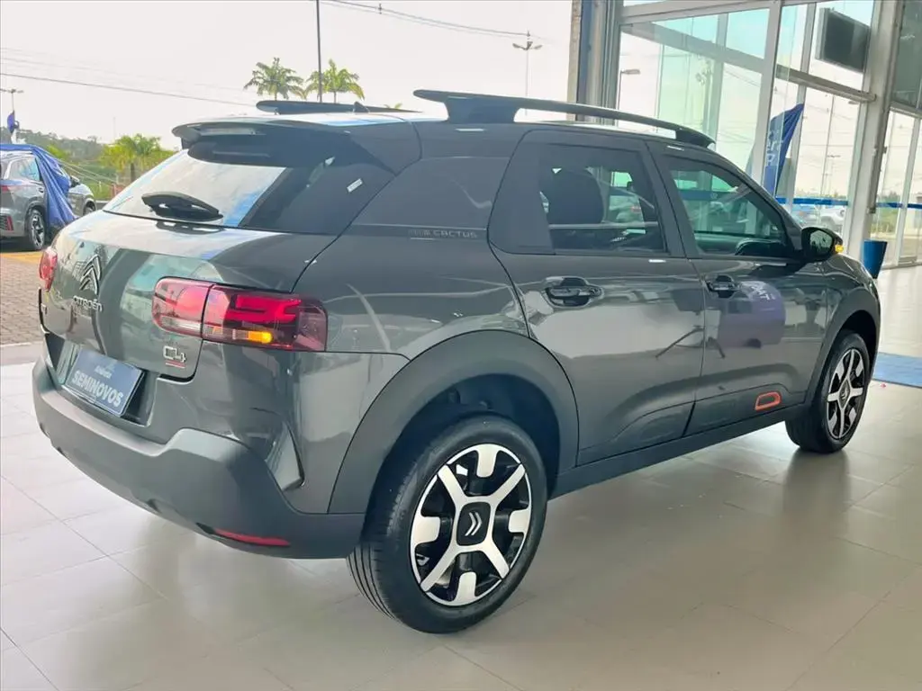 galeria C4 CACTUS