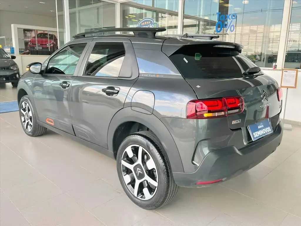 galeria C4 CACTUS