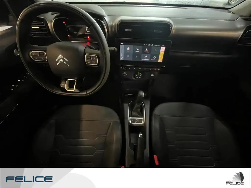 galeria C4 CACTUS