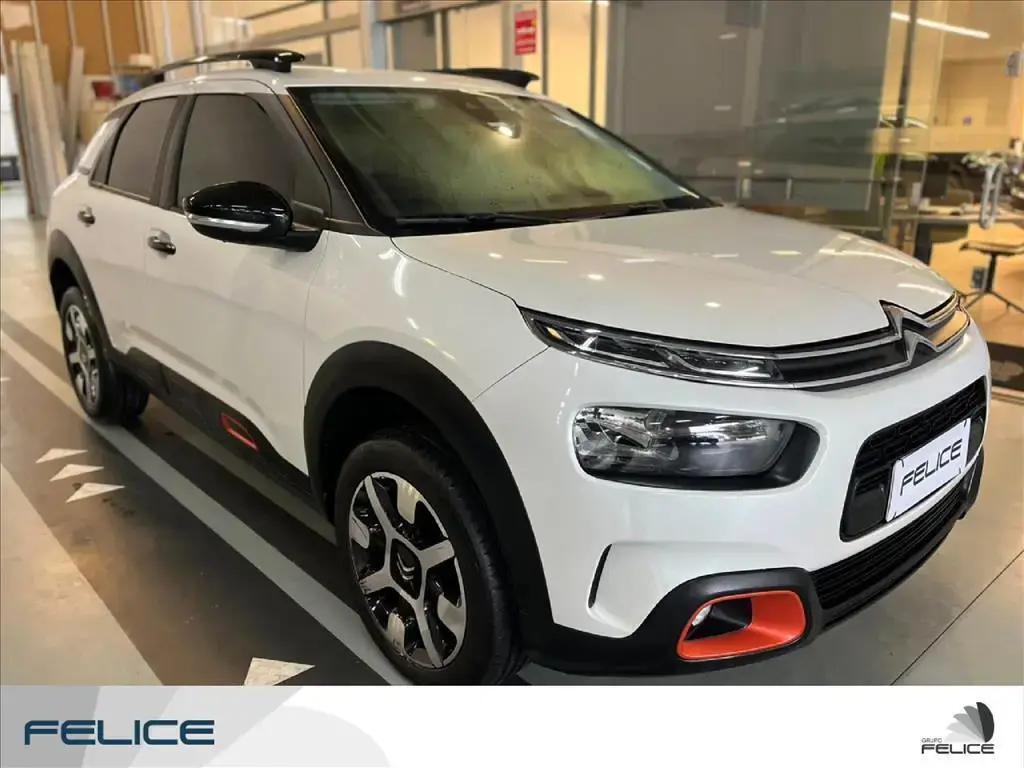 galeria C4 CACTUS