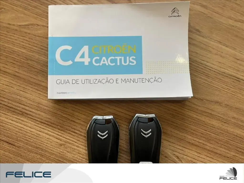 galeria C4 CACTUS