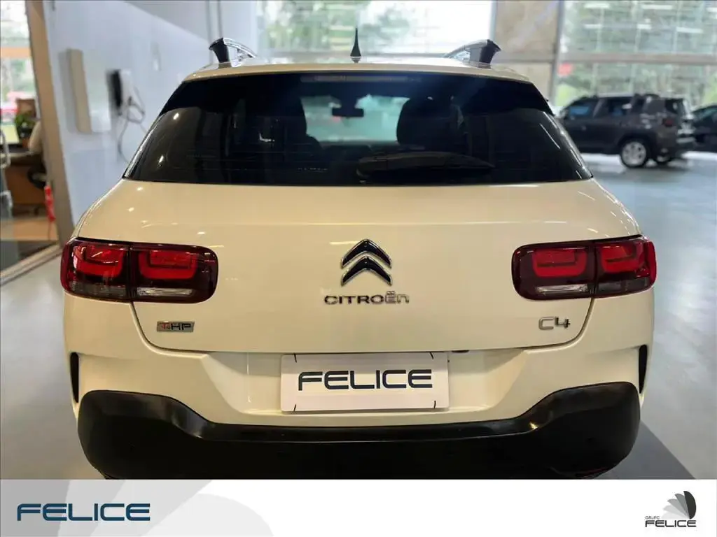 galeria C4 CACTUS