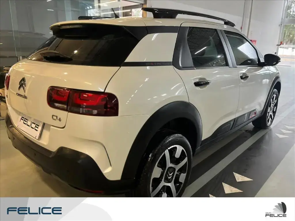 galeria C4 CACTUS