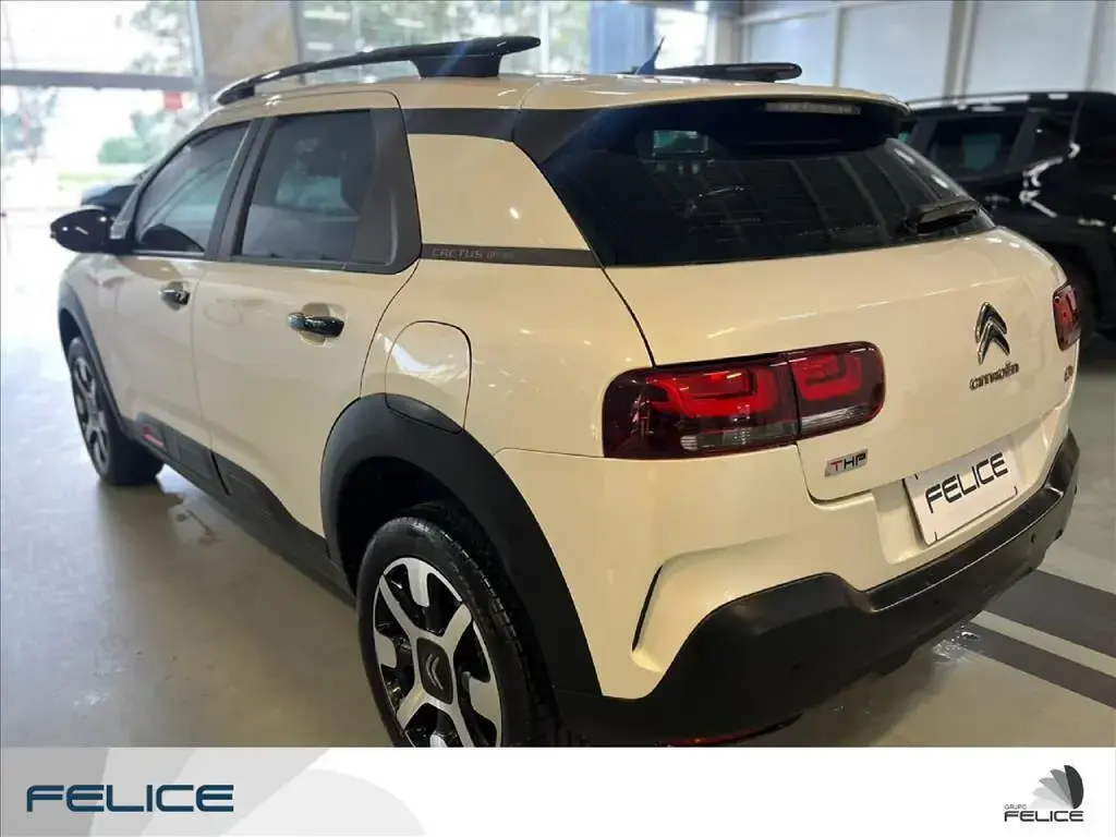 galeria C4 CACTUS
