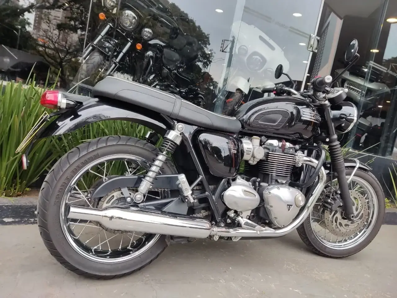 galeria Bonneville T120