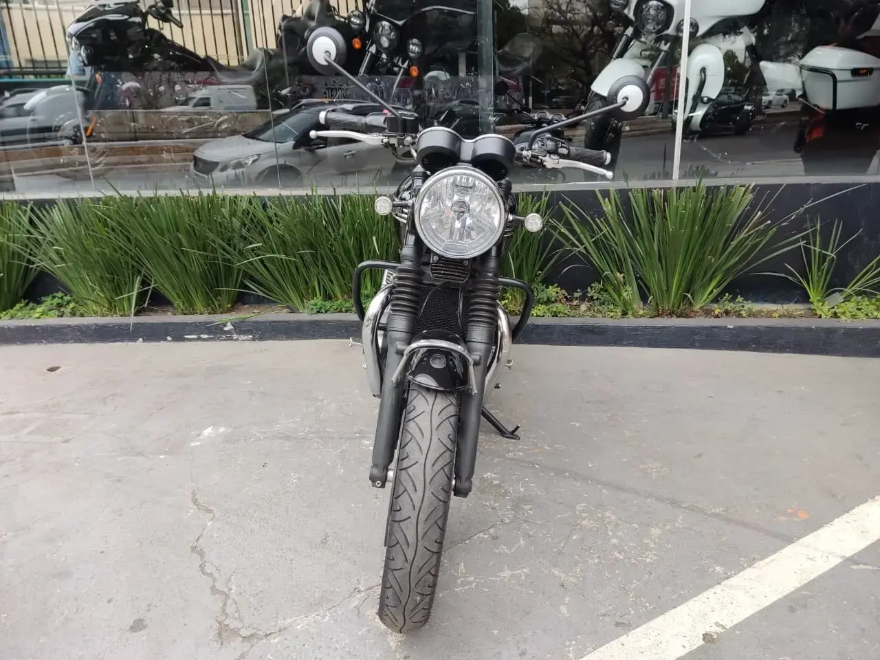 galeria Bonneville T120