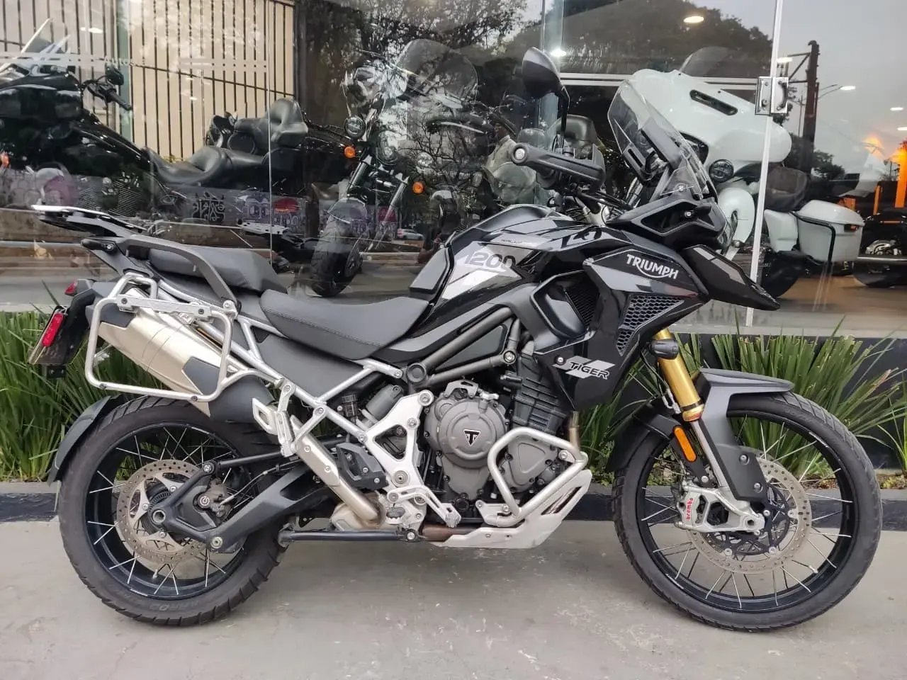 galeria Tiger 1200